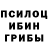 Псилоцибиновые грибы Psilocybe Polinas 6