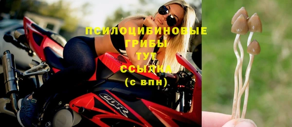 ALPHA-PVP Алексин