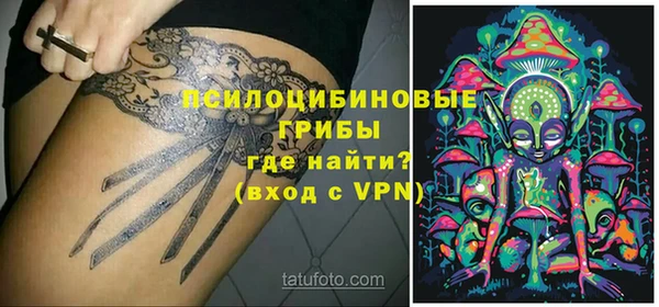 ПСИЛОЦИБИНОВЫЕ ГРИБЫ Абинск