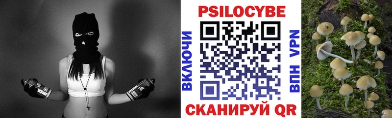 мега вход  Апатиты  Псилоцибиновые грибы мицелий 